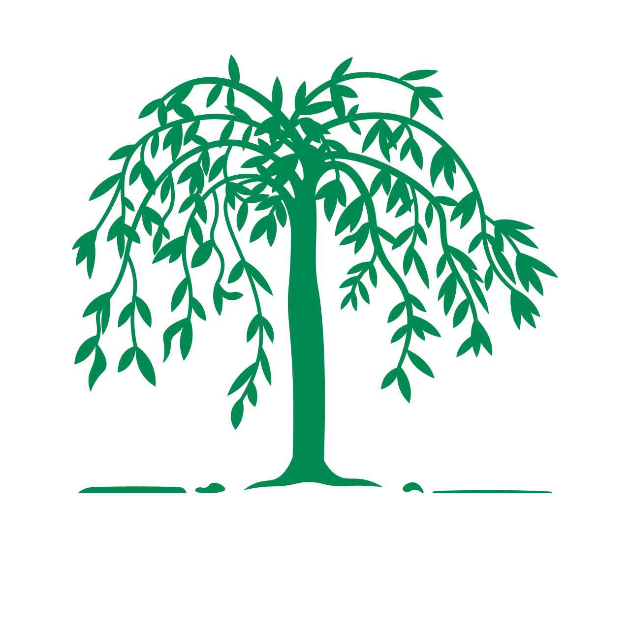 Logo for Willow Grove Primary School