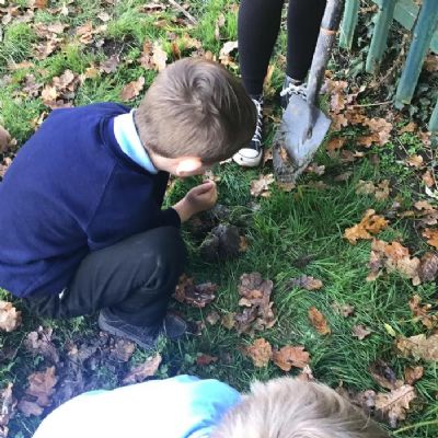 We planted trees