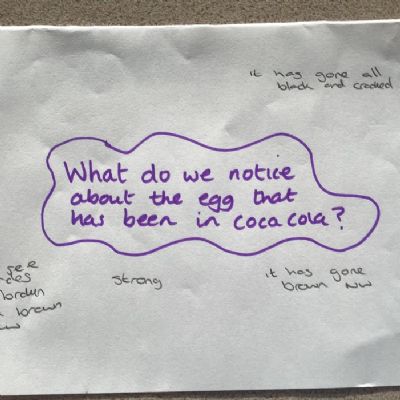 We looked at different liquids and what they would do to the enamel of our teeth using egg shells.