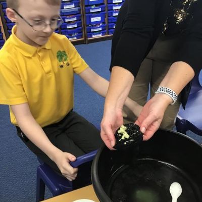 We continued to look at digestion in science