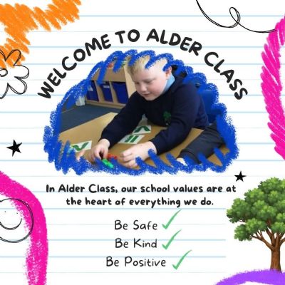 Alder Photos
